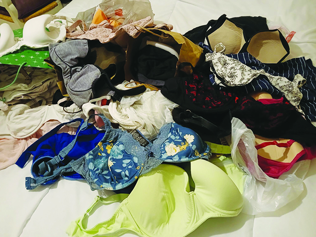 Bras Stop Crime report...as featured in The Easingwold Advertiser & Weekly News 17th January, 2026